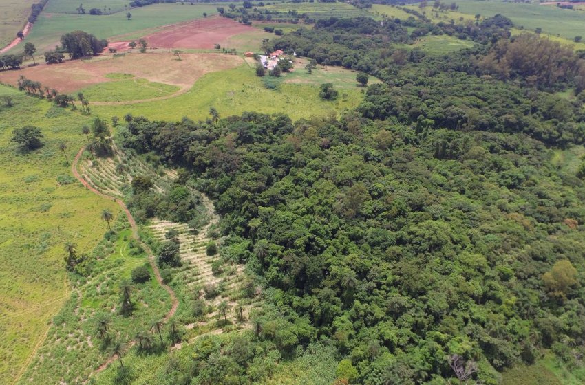 JAGUARIÚNA RECEBE PRÊMIO ‘MUNICÍPIO AGRO’ E FICA EM 1º LUGAR NA RMC