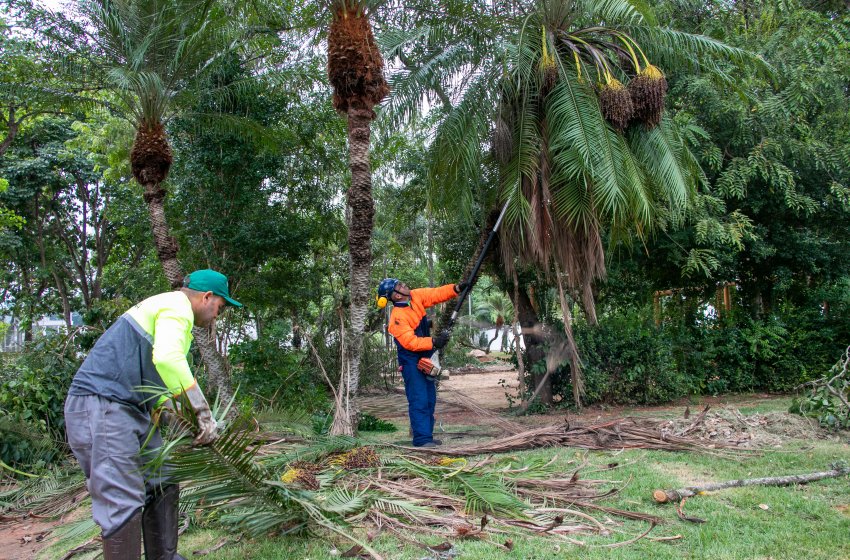 PREFEITURA REALIZA SERVIÇOS DE PODA DE GALHOS NA PRAÇA CARLOS GOMES