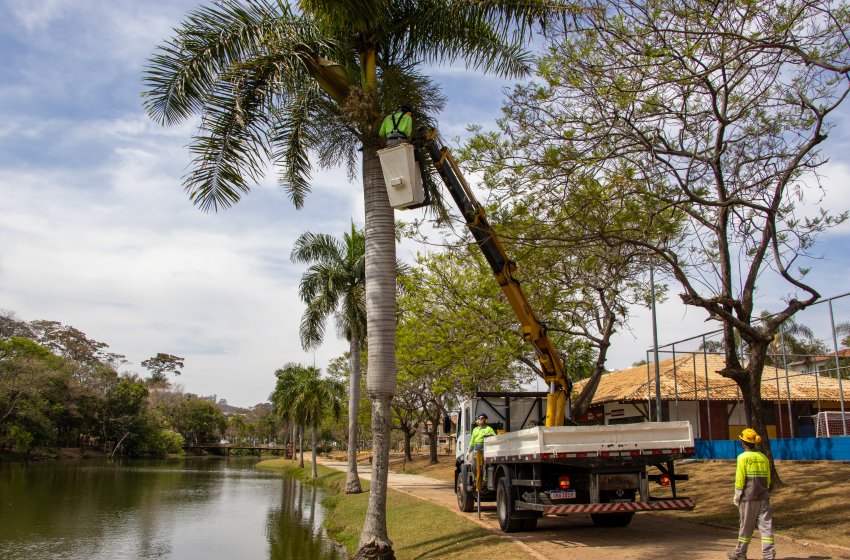 SECRETARIA DE OBRAS REALIZA SERVIÇOS DE PODA DE ÁRVORES NESTA SEXTA