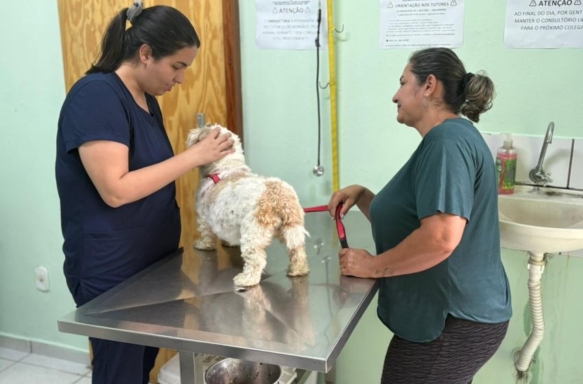 BEM-ESTAR ANIMAL REGISTRA AUMENTO NO ATENDIMENTO EM JAGUARIÚNA